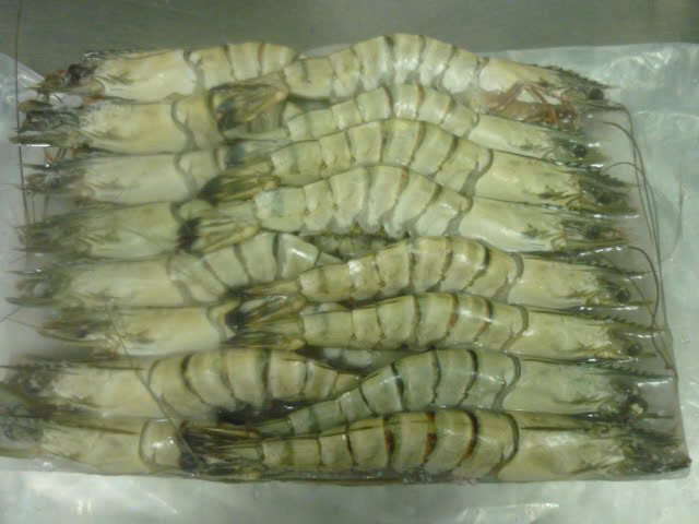 Tôm các loại - Công Ty TNHH MTV Thủy Sản Nam Mỹ